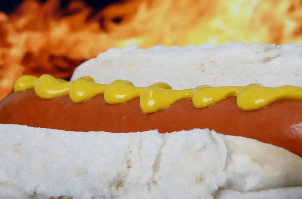Healthy Hotdog Buns
